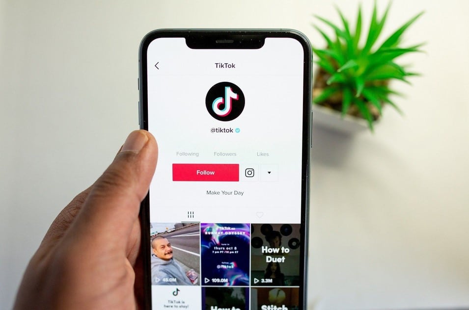 Tutorial Menggunakan SSSTikTok Download Video TikTok No Watermark Secara Simple