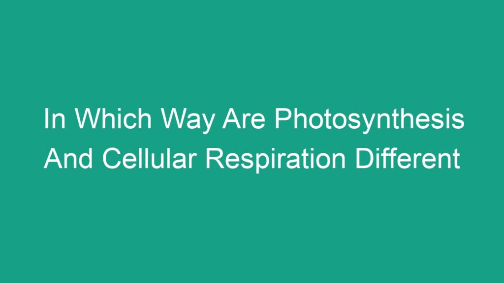 In Which Way Are Photosynthesis And Cellular Respiration Different ...