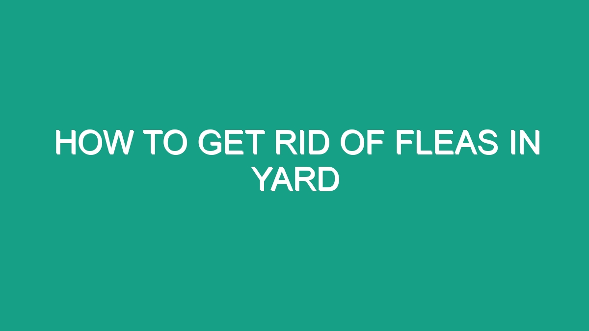 How To Get Rid Of Fleas In Yard Android62