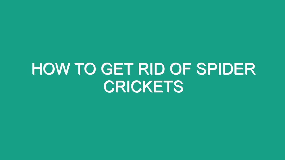 How To Get Rid Of Spider Crickets - Android62