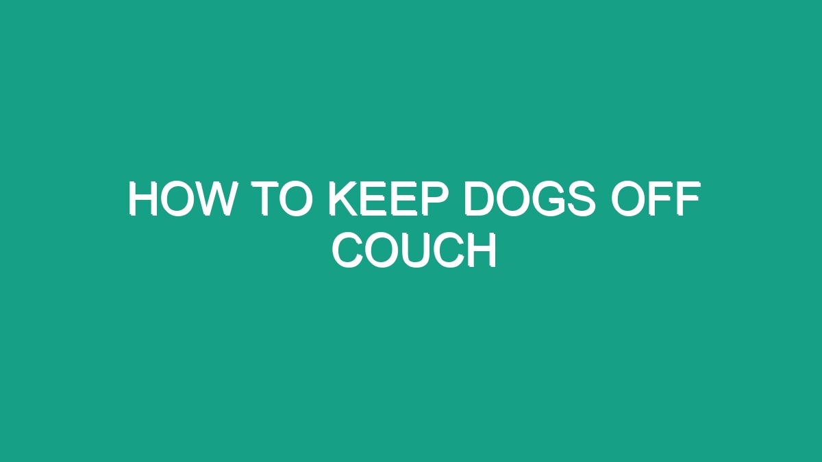 How To Keep Dogs Off Couch - Android62