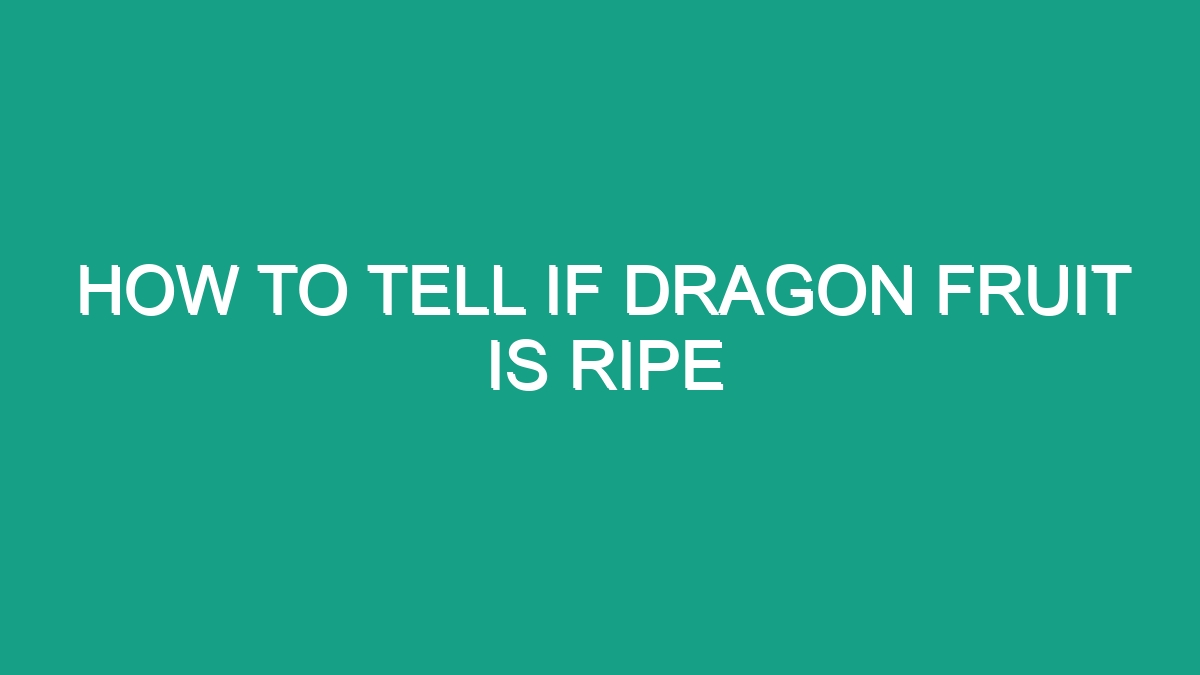 How To Tell If Dragon Fruit Is Ripe - Android62