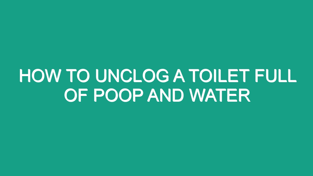 How To Unclog A Toilet Full Of Poop And Water - Android62