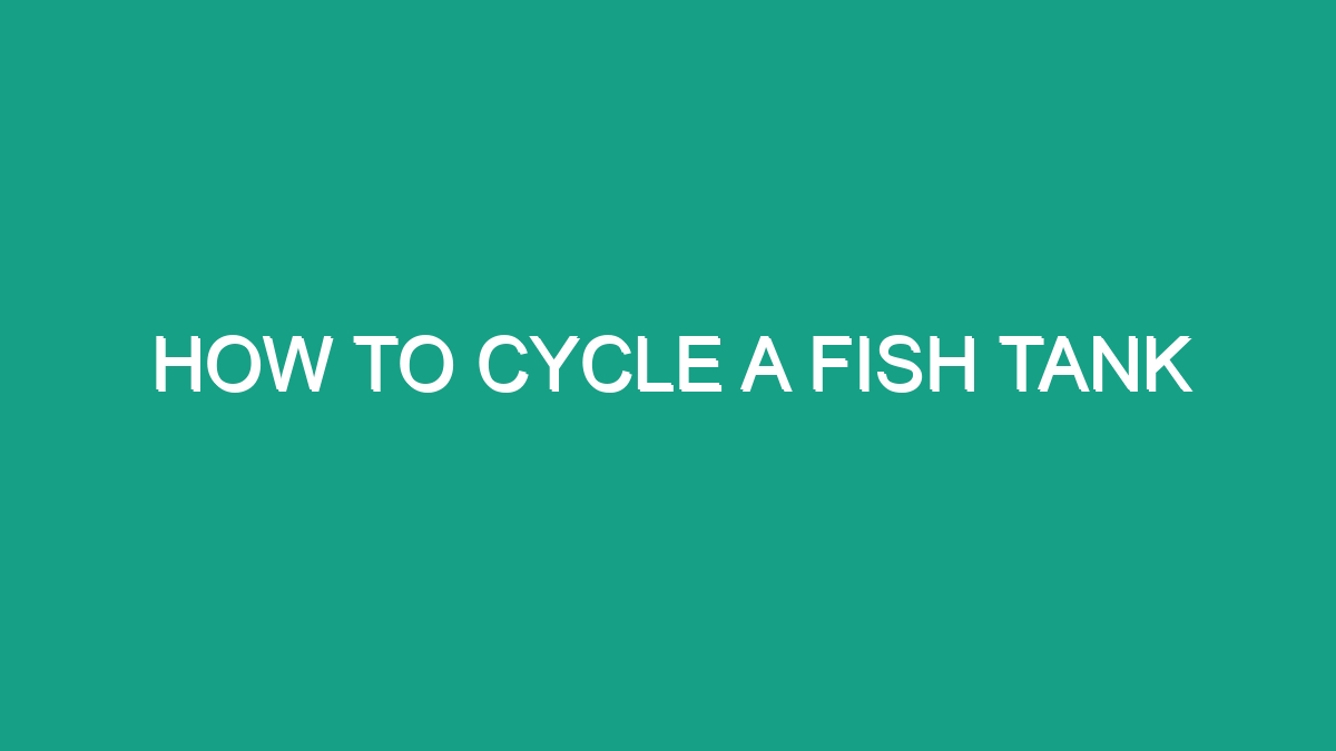 How To Cycle A Fish Tank - Android62