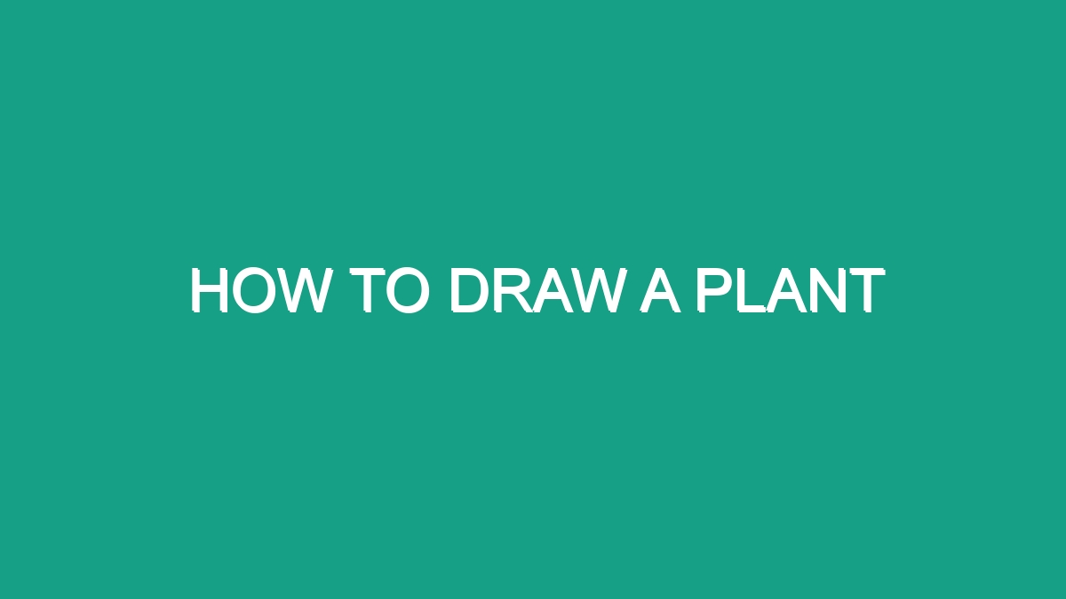 How To Draw A Plant - Android62