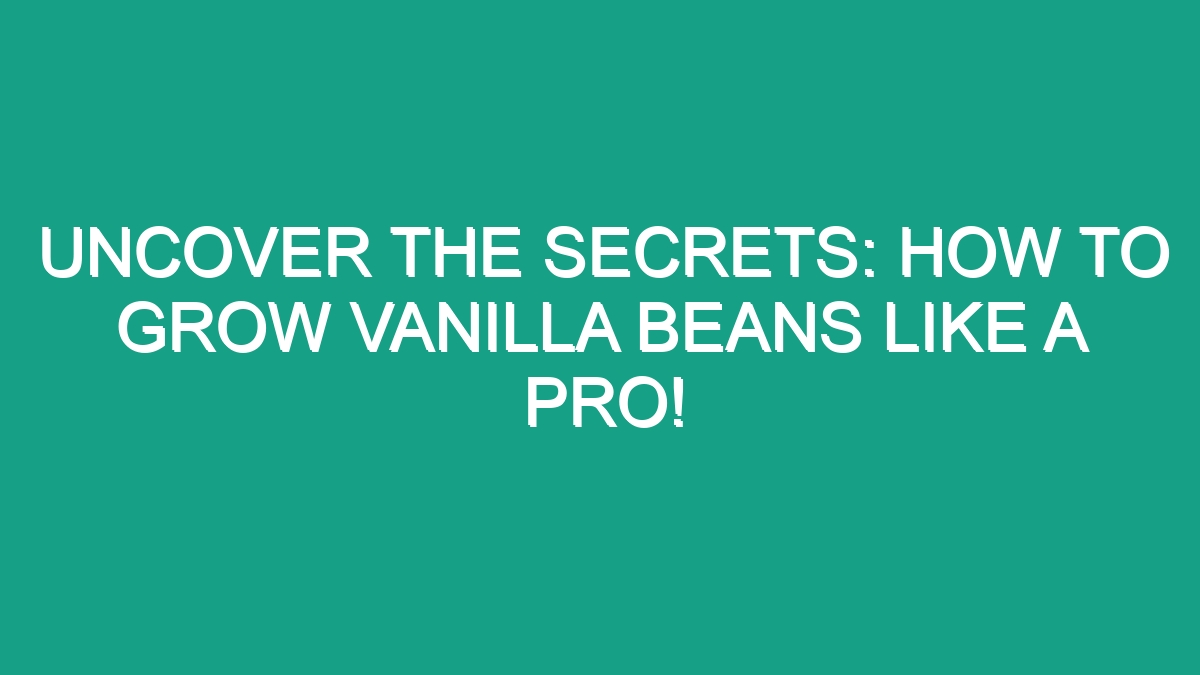 Uncover The Secrets How To Grow Vanilla Beans Like A Pro Android