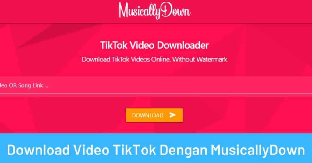 Download Video TikTok Dengan MusicallyDown